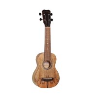 Ukulele SOP Islander MAS 4 spalted Maple