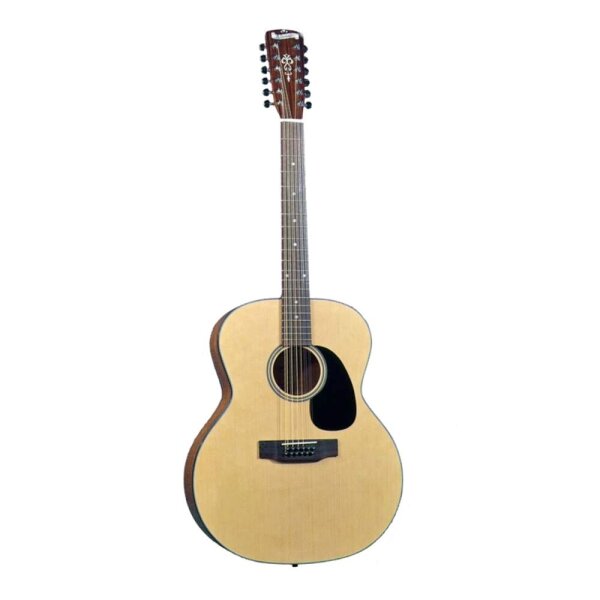 AGIT Blueridge BR 40-12string Jumbo