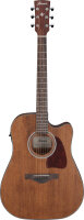 EAGIT Ibanez AW 54 CE-OPN
