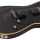 EGIT Schecter Damon Aged Blk Satin IBStrings